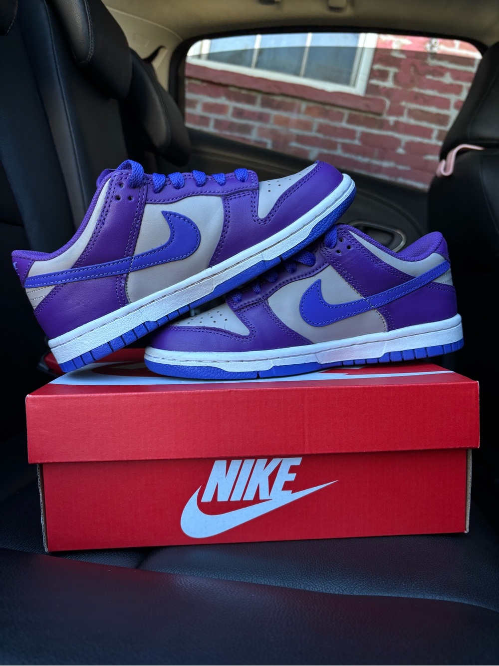 Nike Boys GS Low Dunk Grey and Violet